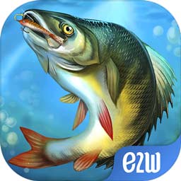 kok体育官方app